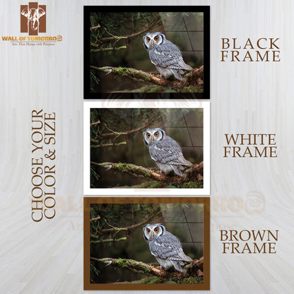 A White-Faced Scops Owl (Ptilopsis Leucotis) In A Tree Staring with Large Orange Eyes High Quality Unframed Poster Print & Waterproof Poster Print Wall Décor