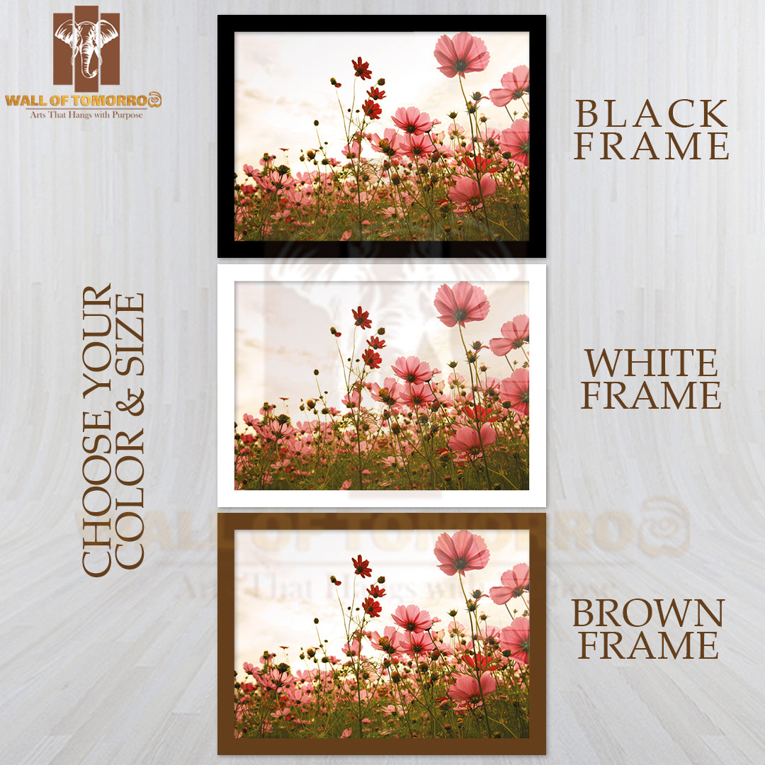 Cosmos Flowers In Sunset High Quality Glass Frame Wall Décor
