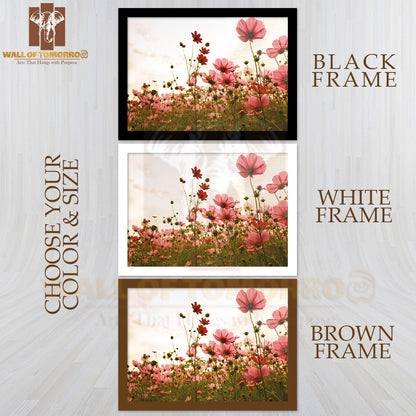 Cosmos Flowers In Sunset High Quality Glass Frame Wall Décor