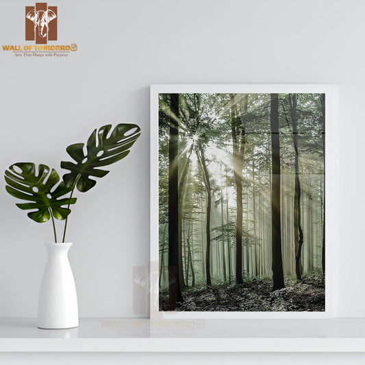 Light Through Forest Trees High Quality Glass Frame Wall Décor