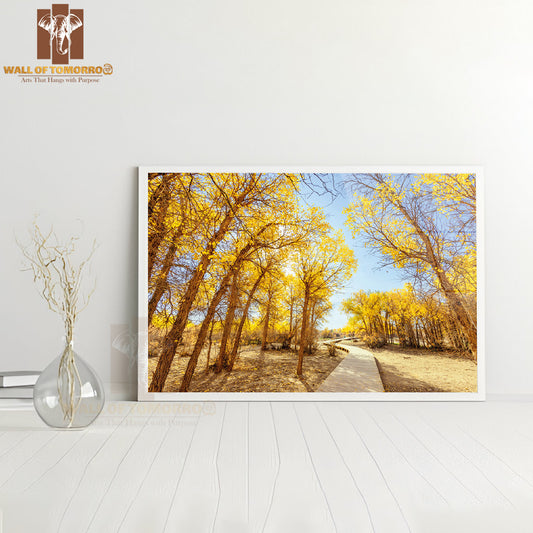 Forest Wooden Path with Yellow Trees High Quality Unframed Poster Print & Waterproof Poster Print Wall Décor