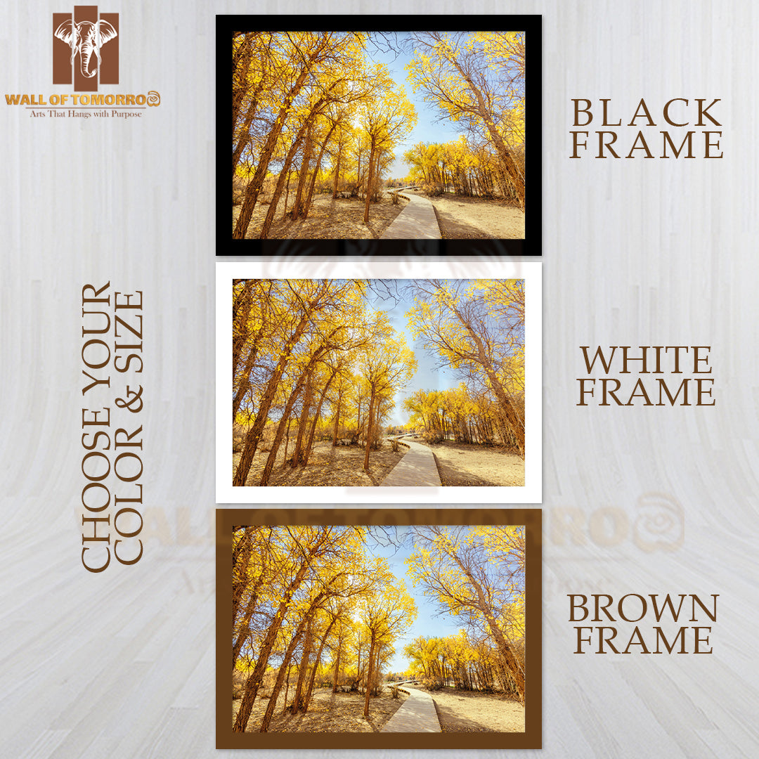 Forest Wooden Path with Yellow Trees High Quality Unframed Poster Print & Waterproof Poster Print Wall Décor