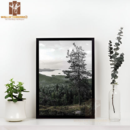 Lieksa Forest Tree View High Quality Glass Frame Wall Décor