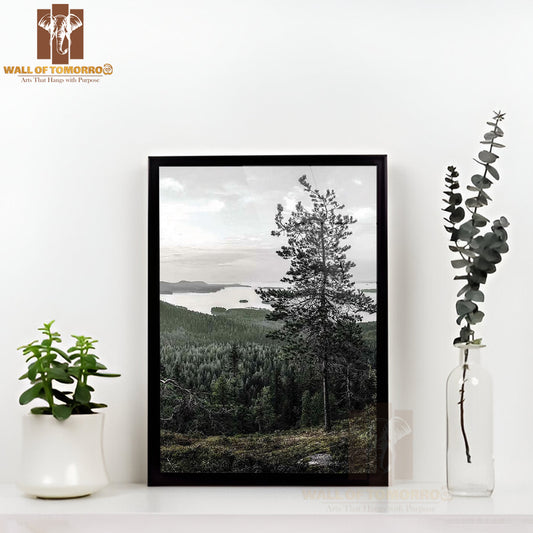 Lieksa Forest Tree View High Quality Glass Frame Wall Décor