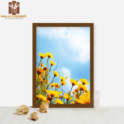 Flowers Border, Field of Fresh Yellow Daisies Over Blue Sky High Quality Glass Frame Wall Décor