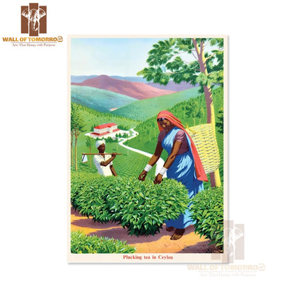Tea Plucking, Picking in Sri Lanka Travel High Quality Unframed Poster Print & Waterproof Poster Print Wall Décor