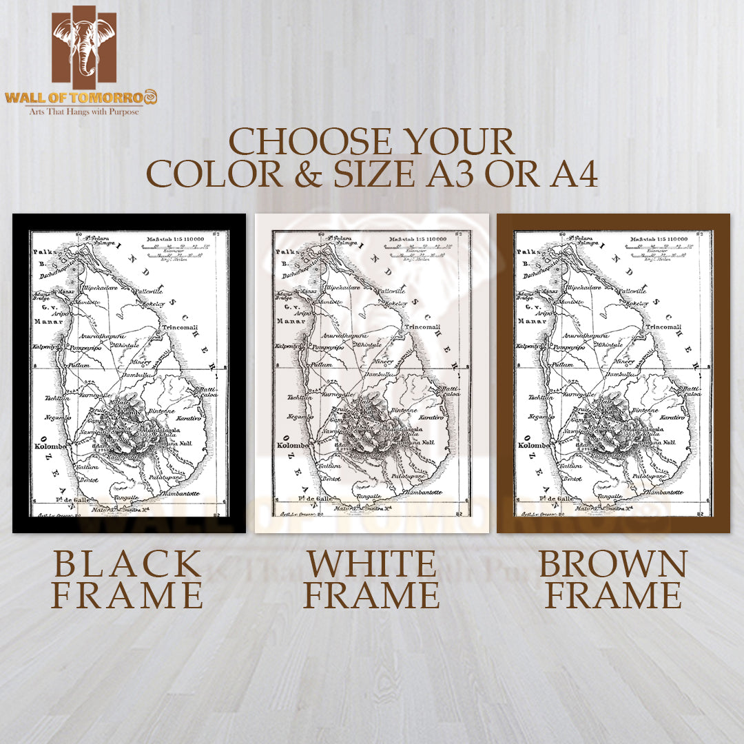 Ceylon Map 1890 High Quality Glass Frame Wall Décors in Sri Lanka