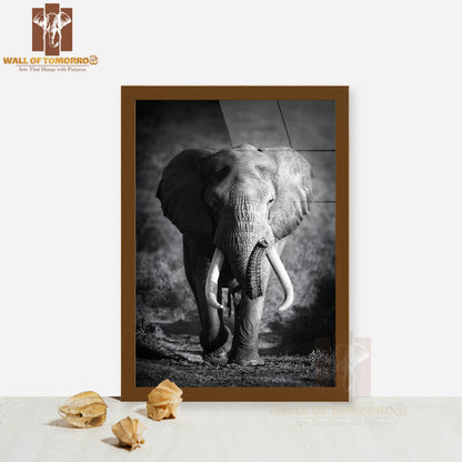 Large Elephant Approaching High Quality Glass Frame Wall Décor