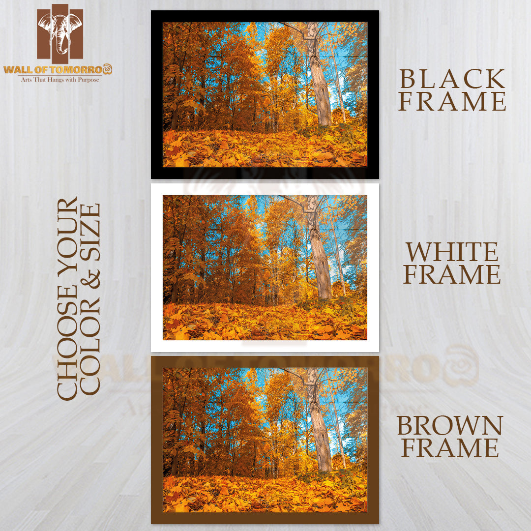 Yellow Autunm Trees Forest High Quality Unframed Poster Print & Waterproof Poster Print Wall Décor