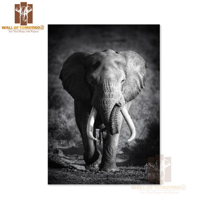Large Elephant Approaching High Quality Unframed Poster Print & Waterproof Poster Print Wall Décor