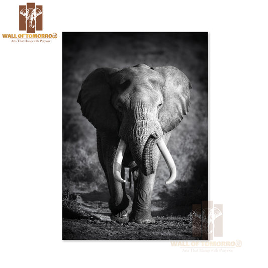 Large Elephant Approaching High Quality Unframed Poster Print & Waterproof Poster Print Wall Décor