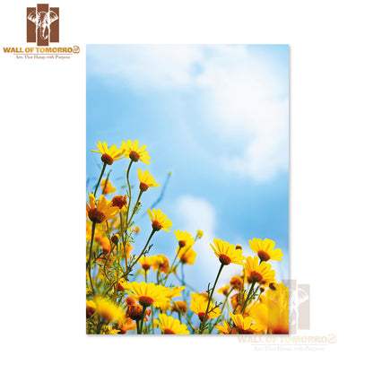 Flowers Border, Field of Fresh Yellow Daisies Over Blue Sky High Quality Unframed Poster Print & Waterproof Poster Print Wall Décor