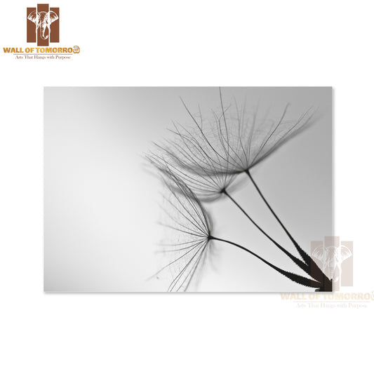 Extreme Closeup of Dandelion Black & White Dandelion Seed High Quality Unframed Poster Print & Waterproof Poster Print Wall Décor