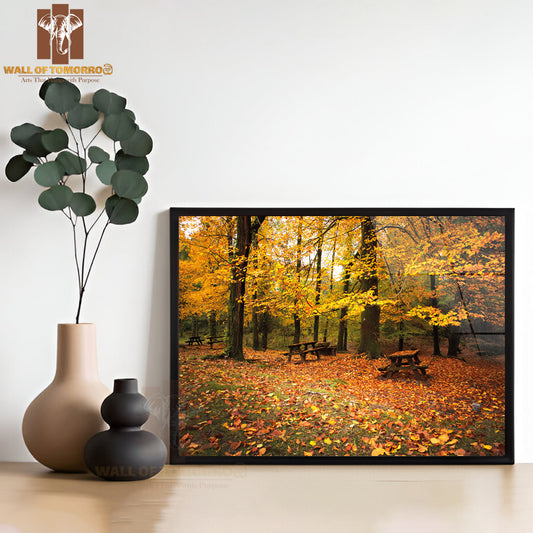 Autumn Landscape with Beautiful Colored Trees and Benches High Quality Unframed Poster Print & Waterproof Poster Print Wall Décor