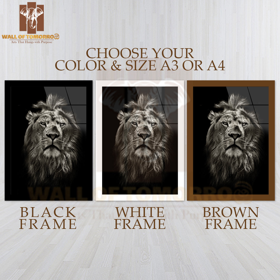 Black And White Lion Portrait on Black High Quality Glass Frame Wall Décor