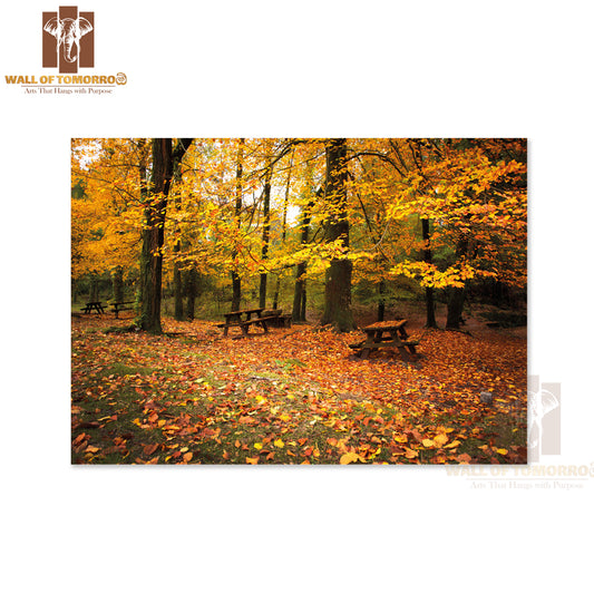 Autumn Landscape with Beautiful Colored Trees and Benches High Quality Unframed Poster Print & Waterproof Poster Print Wall Décor