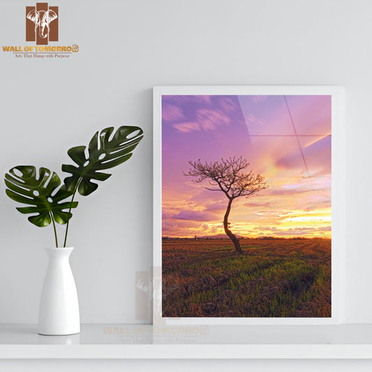 Isolated Tree in a Paddy Field with a Majestic Sunset High Quality Glass Frame Wall Décor