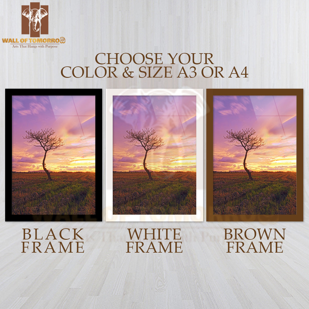 Isolated Tree in a Paddy Field with a Majestic Sunset High Quality Glass Frame Wall Décor