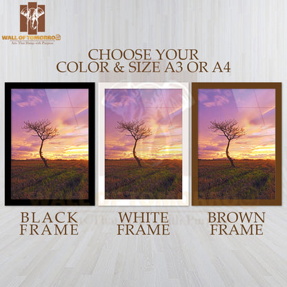 Isolated Tree in a Paddy Field with a Majestic Sunset High Quality Glass Frame Wall Décor