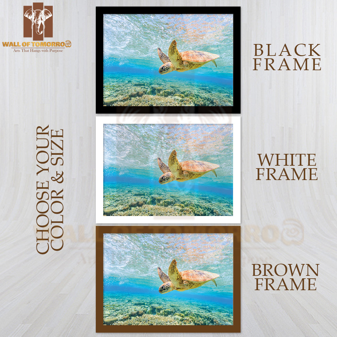 Turtle Diving Back to the Reef in a Shallow Lagoon High Quality Unframed Poster Print & Waterproof Poster Print Wall Décor