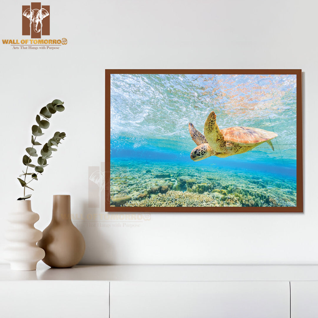 Turtle Diving Back to the Reef in a Shallow Lagoon High Quality Unframed Poster Print & Waterproof Poster Print Wall Décor