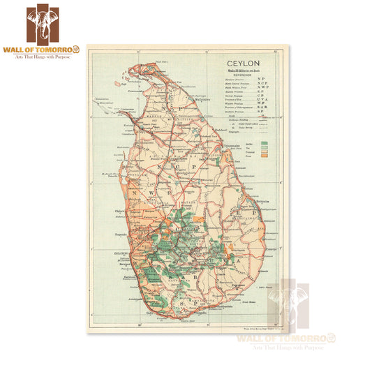 Ceylon, Sri Lanka, Rubber Tea Coconut Cocoa & railways 1919 old antique map High Quality Unframed Poster Print & Waterproof Poster Print Wall Décor in Sri Lanka