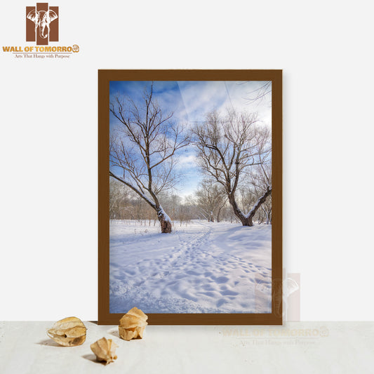 Snow Covered Dead Trees Pathway High Quality Glass Frame Wall Décor