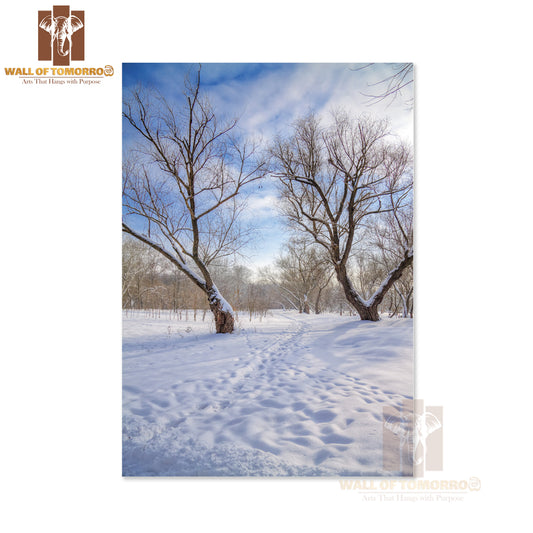Snow Covered Dead Trees Pathway High Quality Unframed Poster Print & Waterproof Poster Print Wall Décor
