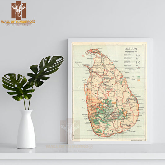 Ceylon, Sri Lanka, Rubber Tea Coconut Cocoa & railways 1919 old antique map High Quality Glass Frame Wall Décors in Sri Lanka