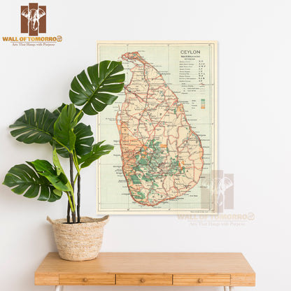 Ceylon, Sri Lanka, Rubber Tea Coconut Cocoa & railways 1919 old antique map High Quality Unframed Poster Print & Waterproof Poster Print Wall Décor in Sri Lanka