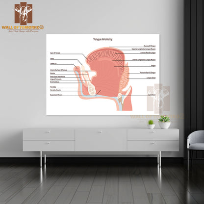 Anatomy Of the Mouth and Tongue Side View. Muscular Organ with Papillae, Taste Receptors of The Tongue Educational High Quality Unframed Poster Print & Waterproof Poster Print Wall Décor