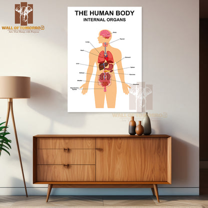 Internal Organs of Human Body Flat Infographic Educational High Quality Unframed Poster Print & Waterproof Poster Print Wall Décor