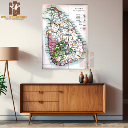 Detailed old map of Ceylon (Sri Lanka) - 1914 High Quality Unframed Poster Print & Waterproof Poster Print Wall Décor in Sri Lanka