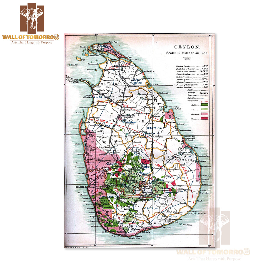 Detailed old map of Ceylon (Sri Lanka) - 1914 High Quality Unframed Poster Print & Waterproof Poster Print Wall Décor in Sri Lanka