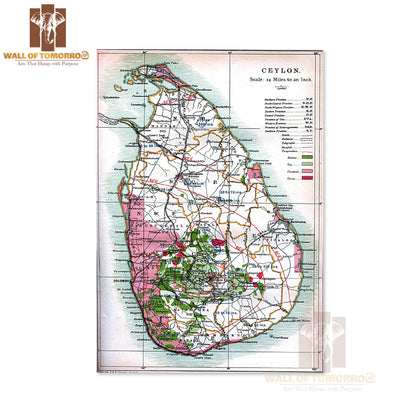 Detailed old map of Ceylon (Sri Lanka) - 1914 High Quality Unframed Poster Print & Waterproof Poster Print Wall Décor in Sri Lanka