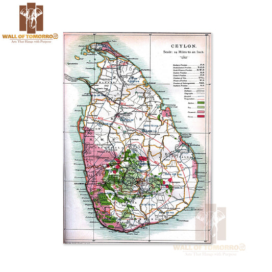 Detailed old map of Ceylon (Sri Lanka) - 1914 High Quality Unframed Poster Print & Waterproof Poster Print Wall Décor in Sri Lanka