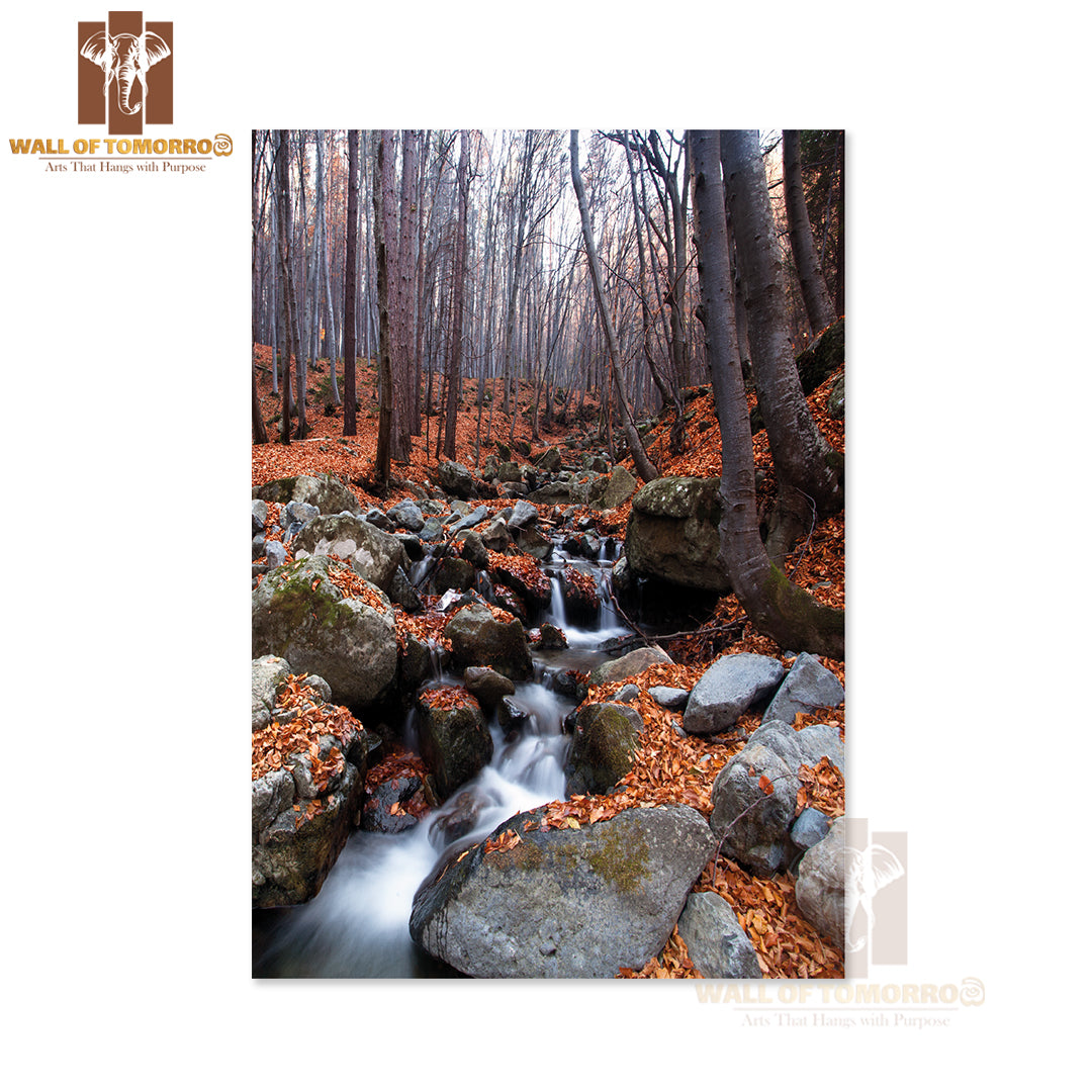 Mountain Stream In Deep Bulgarian Forest High Quality Unframed Poster Print & Waterproof Poster Print Wall Décor