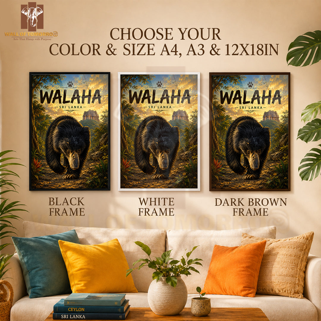 Bear (Walaha) Sri Lanka Travel Animals High Quality Glass Frame Wall Décor