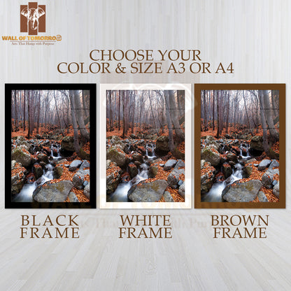 Mountain Stream In Deep Bulgarian Forest High Quality Glass Frame Wall Décor