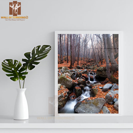 Mountain Stream In Deep Bulgarian Forest High Quality Glass Frame Wall Décor